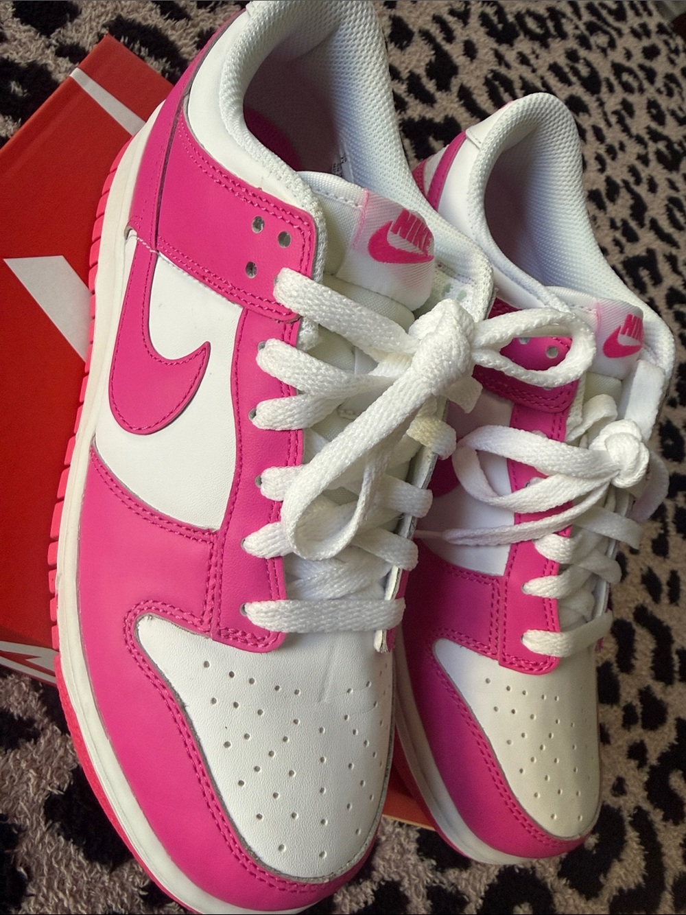 Nike Dunk Low